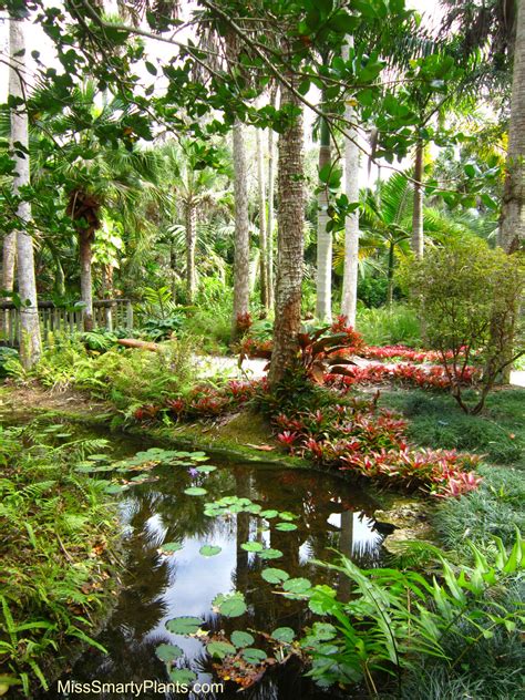 Mckee botanical garden - 